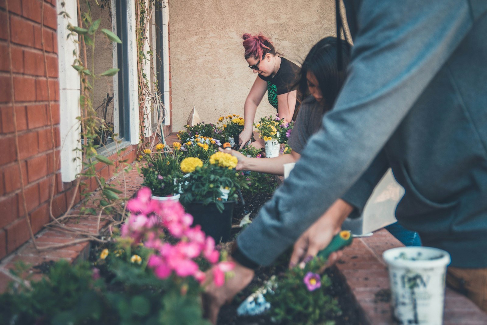 Trois personnes plantant des fleurs ensemble dans un jardin